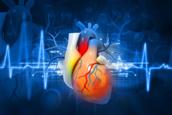 best cardiology hospital in bangalore9